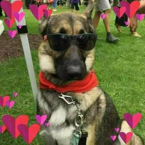 Meet your Posher, Christan